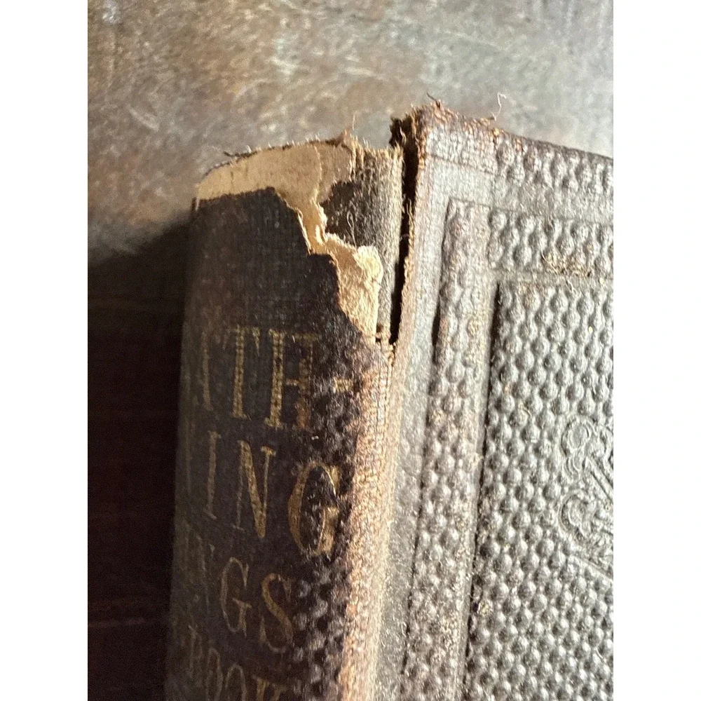 Sabbath Morning Readings Old Testament Book of Numbers John Cumming 1855 Antique - Picture 3 of 13